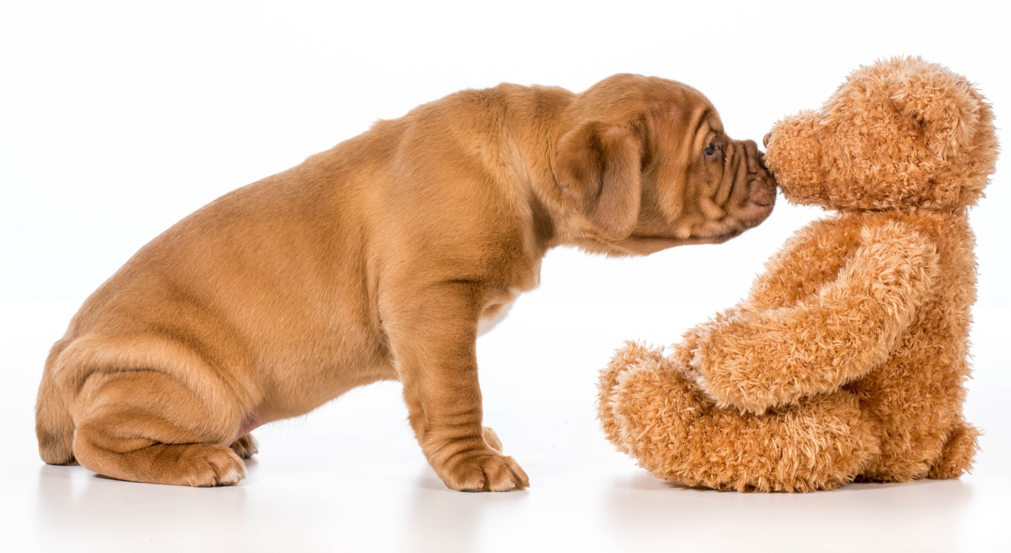 Bildnachweis: WilleeCole Photography/Shutterstock Bildnachweis: WilleeCole Photography/Shutterstock