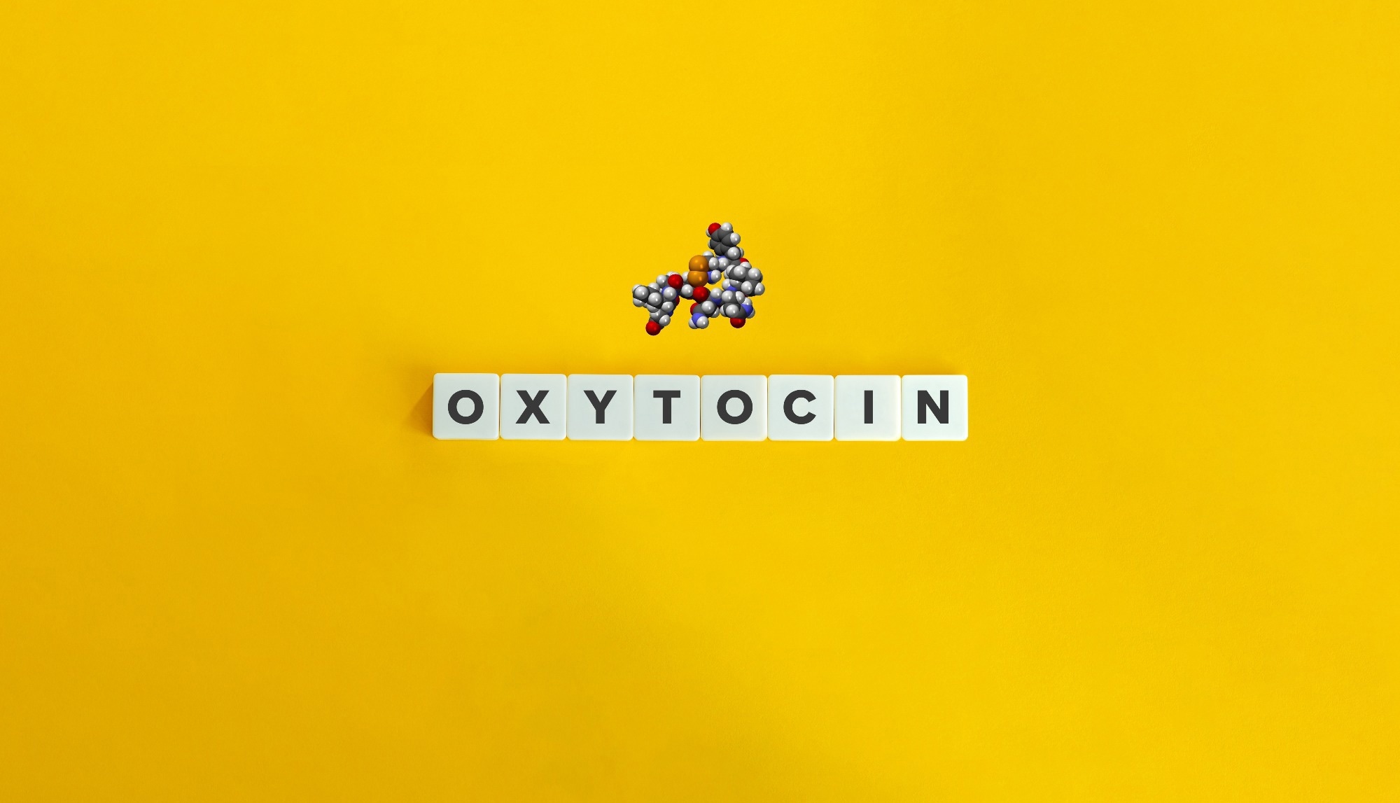 Bildquelle: designium/Shutterstock Bildquelle: designium/Shutterstock