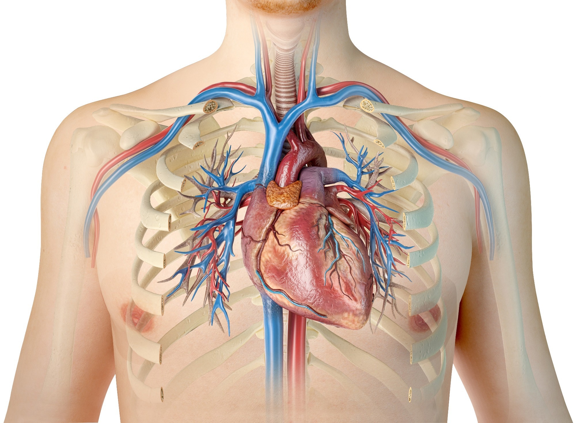 Bildnachweis: Matis75/Shutterstock Bildquelle: Matis75/Shutterstock