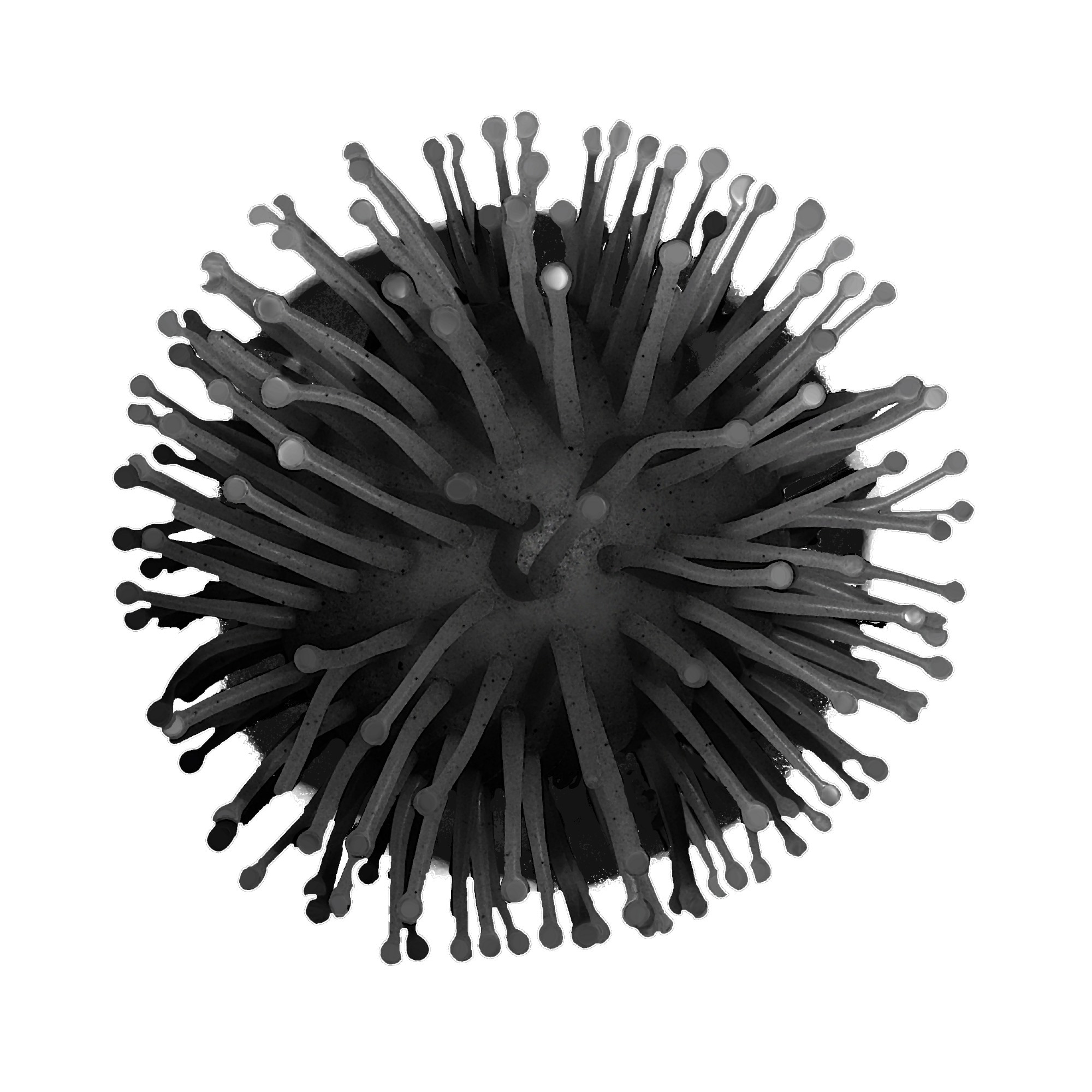 Studie: Ein Rinderantikörper mit einer ultralangen komplementaritätsbestimmenden Region CDRH3 zielt auf ein hochkonserviertes Epitop in Sarbecovirus-Spike-Proteinen ab. Bildnachweis: Andrii Yarovsky/Shutterstock Studie: Ein Rinderantikörper mit einer ultralangen komplementaritätsbestimmenden Region CDRH3 zielt auf ein hochkonserviertes Epitop in Sarbecovirus-Spike-Proteinen ab. Bildnachweis: Andrii Yarovsky/Shutterstock