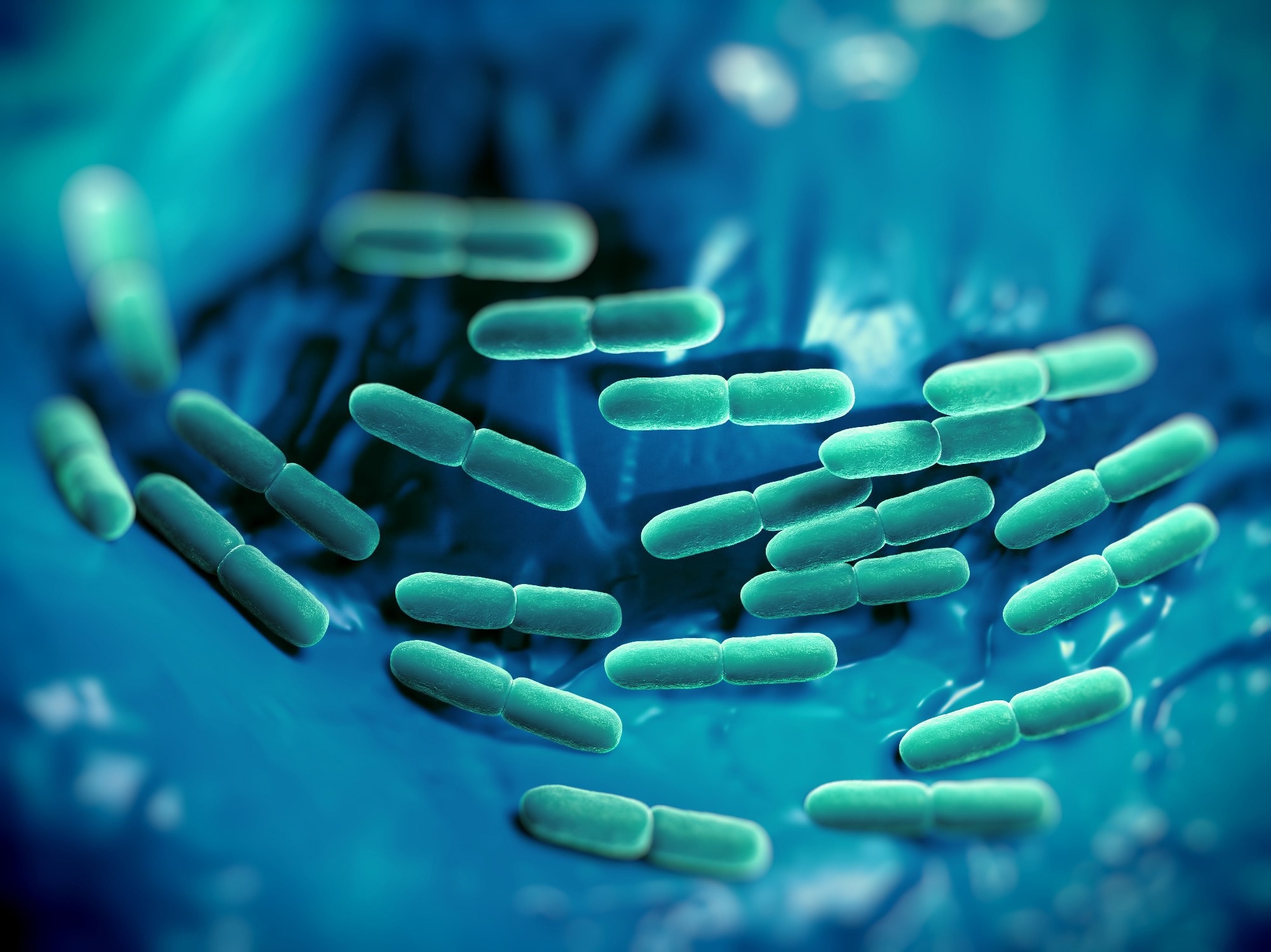 Übersicht: Milchvorspeisen und fermentierte Milchprodukte modulieren die Immunität der Darmschleimhaut. Bildnachweis: Peddalanka Ramesh Babu / Shutterstock