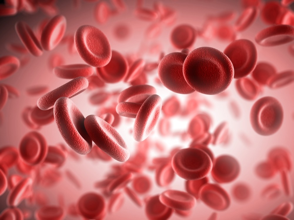 Bildnachweis: Sashkin / Shutterstock.com