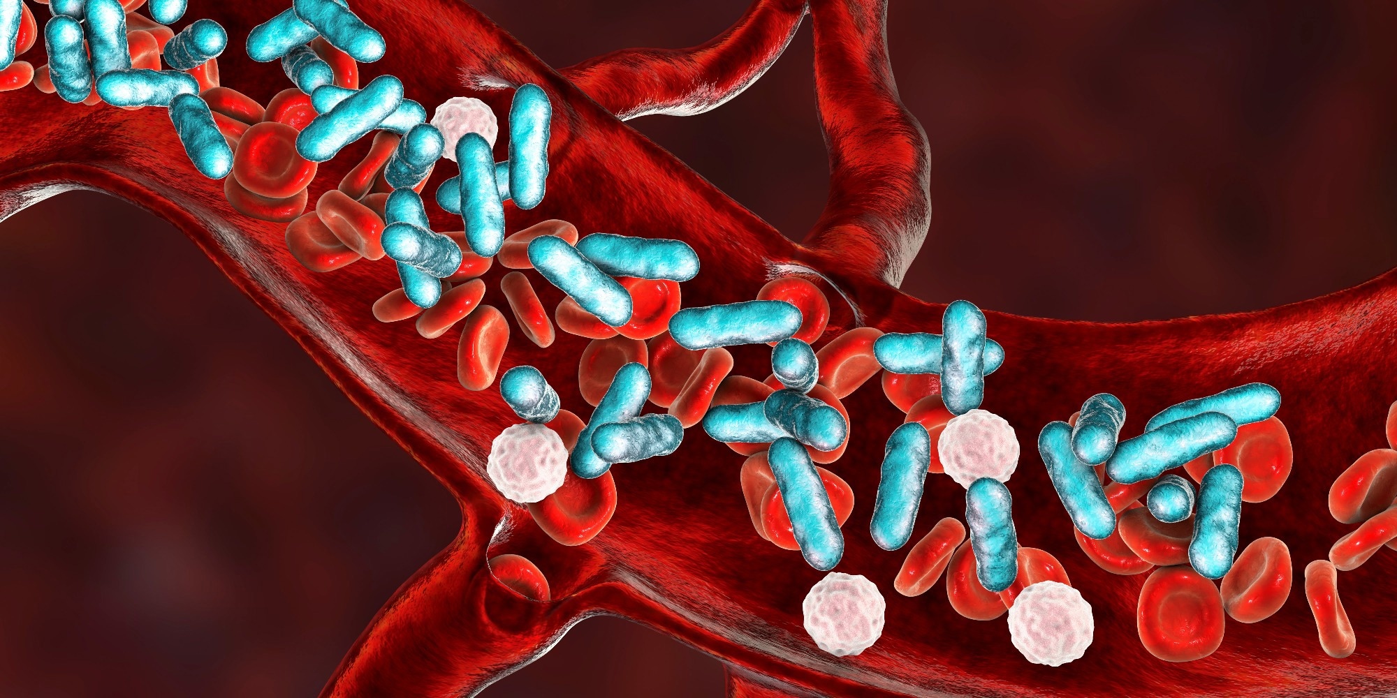 Bildnachweis: Kateryna Kon/Shutterstock Bildnachweis: Kateryna Kon/Shutterstock