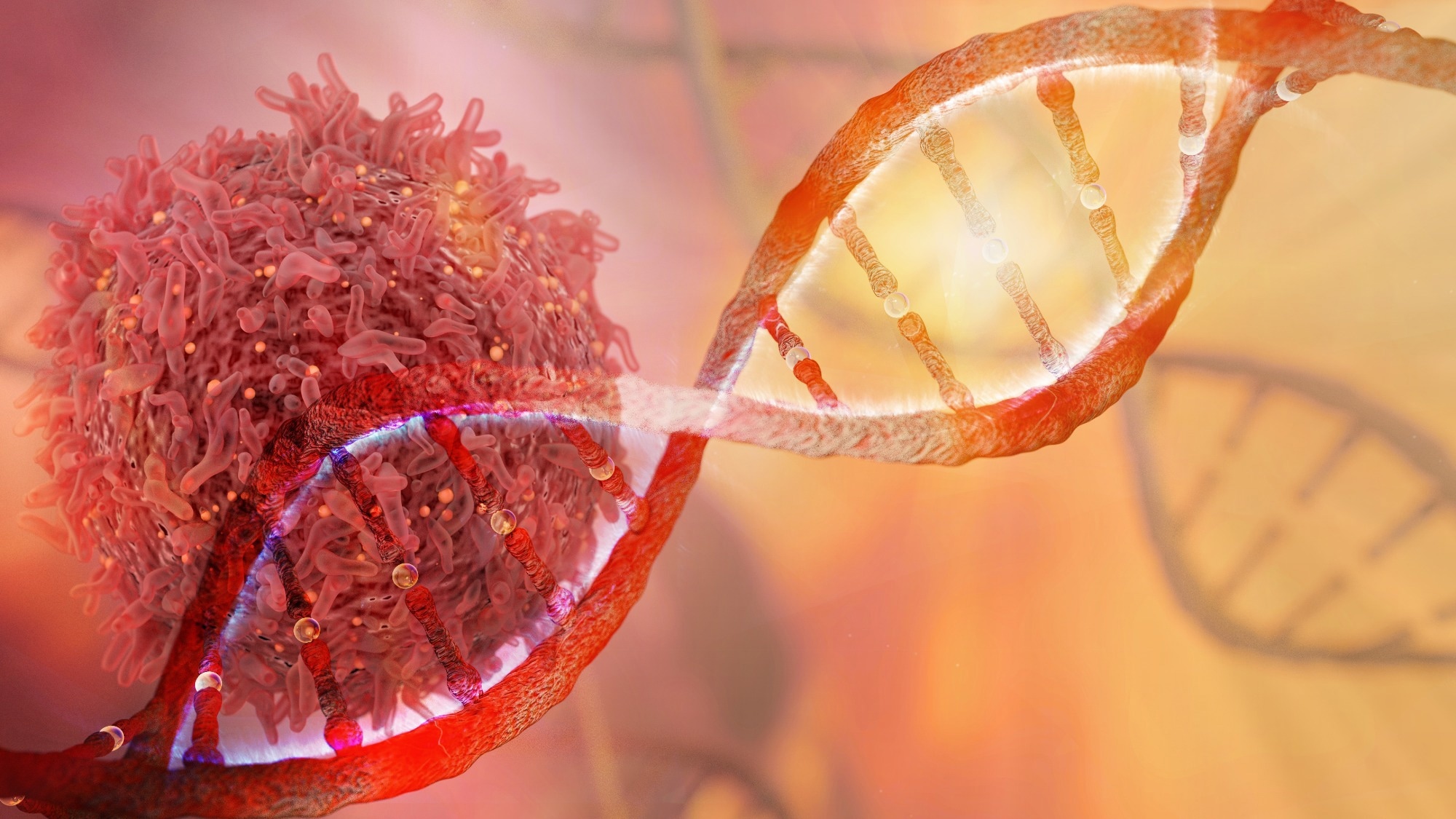 Studie: Evaluierung zellfreier DNA-Ansätze zur Multikrebs-Früherkennung. Bildnachweis: CI Photos/Shutterstock Studie: Evaluierung zellfreier DNA-Ansätze zur Multikrebs-Früherkennung. Bildnachweis: CI Photos/Shutterstock