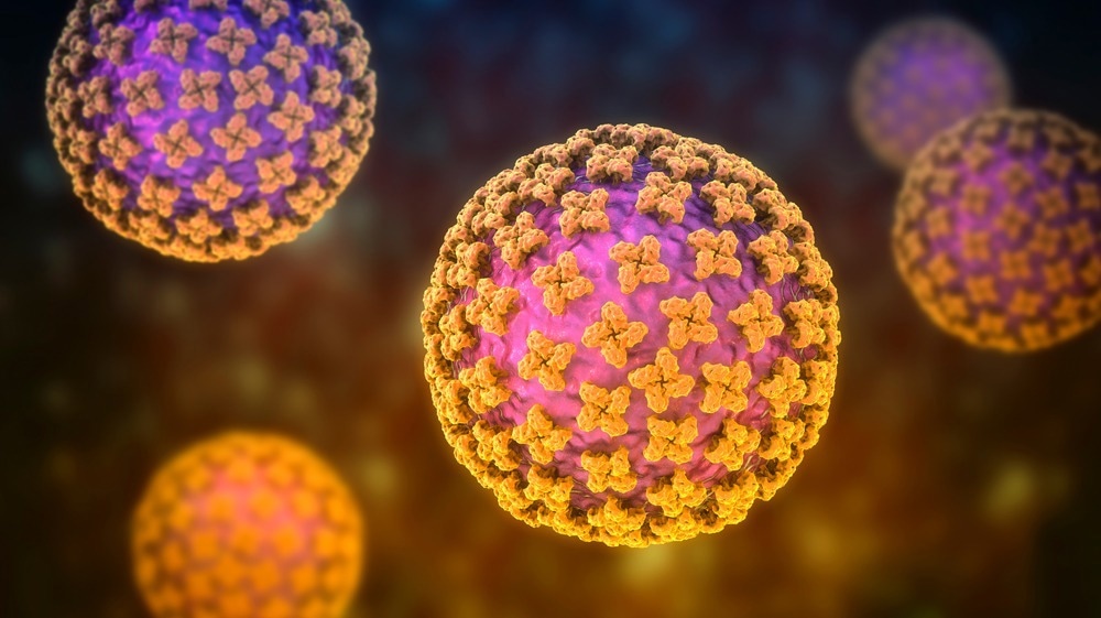 Studie: Kiwira-Virus, ein neu entdecktes Hantavirus, das in Freischwanzfledermäusen (Molossidae) in Ost- und Zentralafrika entdeckt wurde. Bildnachweis: Kateryna Kon / Shutterstock.com