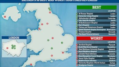 Das Obige zeigt die zehn besten und schlechtesten NHS-Krankenhäuser in Großbritannien.  Die besten befanden sich meist in der Hauptstadt, obwohl zwei auch in Newcastle lagen.  Die schlimmsten waren über das ganze Land verstreut