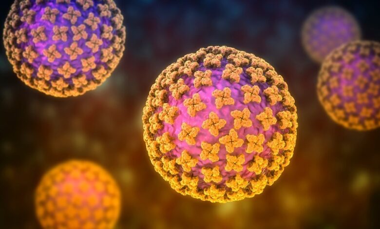 Study: Kiwira Virus, a Newfound Hantavirus Discovered in Free-tailed Bats (Molossidae) in East and Central Africa. Image Credit: Kateryna Kon / Shutterstock.com