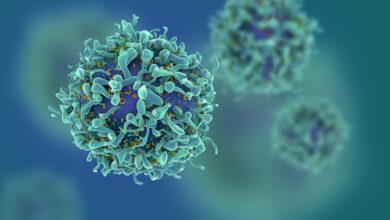Study: Small Molecule Assembly Modulators with Pan-Cancer Therapeutic Efficacy. Image Credit: fusebulb/Shutterstock