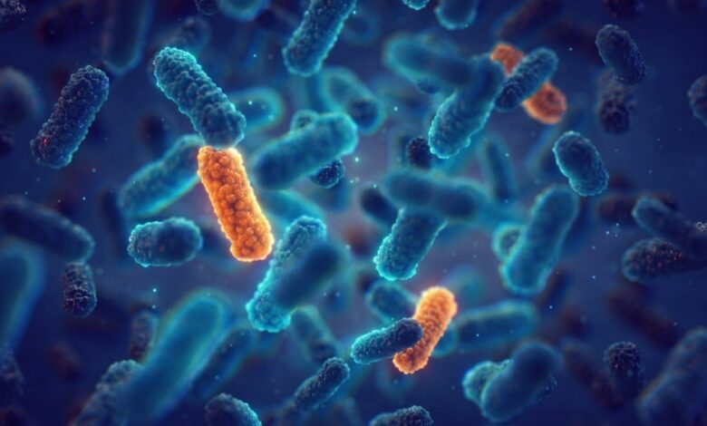 Study: Clinical Implementation of Routine Whole-genome Sequencing for Hospital Infection Control of Multi-drug Resistant Pathogens. Image Credit: nobeastsofierce/Shutterstock
