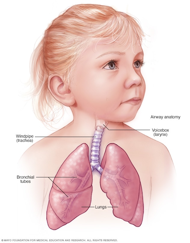 Ein normaler Atemweg bei einem Kind