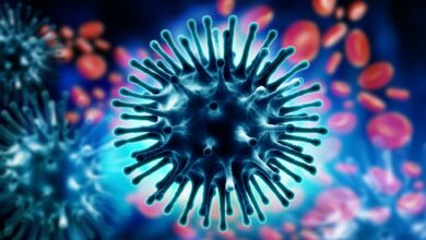 Study: Severe Human Case of Zoonotic Infection with Swine-Origin Influenza A Virus, Denmark, 2021. Image Credit: Liya Graphics/Shutterstock