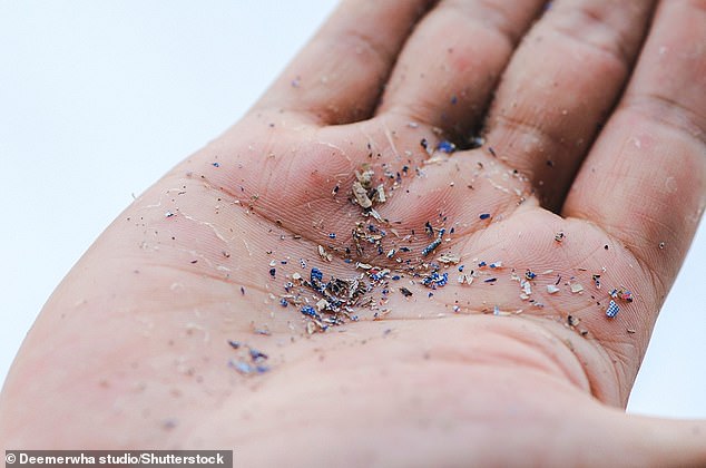 Mikroplastik sind winzige Plastikstücke mit einem Durchmesser von weniger als 0,2 Zoll (5 mm) – einige so klein, dass sie mit bloßem Auge nicht einmal sichtbar sind (Dateifoto).