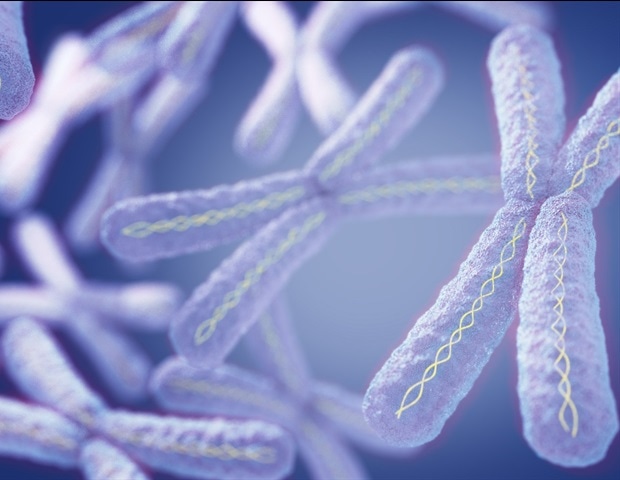 Neue Entdeckung verändert das Verständnis der Duchenne-Muskeldystrophie