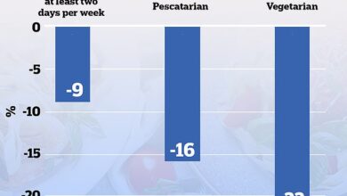 Sie haben von „Fleischfreien Montagen“ gehört, probieren Sie jetzt „Tofu-Dienstags“: Wenn Sie an zwei Tagen pro Woche auf Steaks, Speck und Würstchen verzichten, sinkt das Krebsrisiko um 10 %, so die Studie