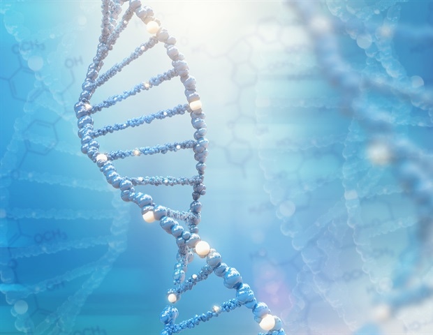 Stoffwechselprodukt aus Granatapfel verbessert die Funktion von Immunzellen zur Bekämpfung von Krebs