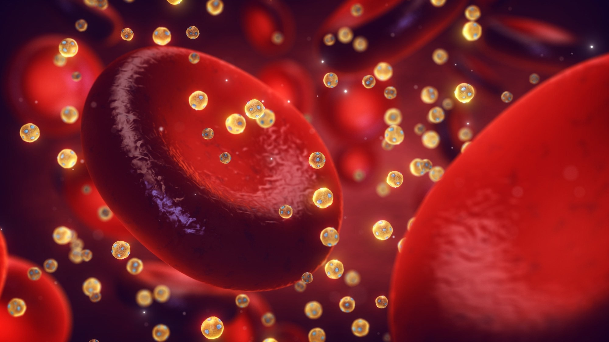 Studie stellt die prädiktive Rolle von „gutem“ Cholesterin für Herzkrankheiten in Frage
