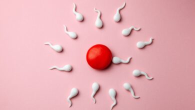 Study: Association between chemical mixtures and female fertility in women undergoing assisted reproduction in Sweden and Estonia. Image Credit: ADragan / Shutterstock