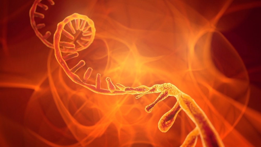 Studie untersucht weitreichende RNA-RNA-Wechselwirkungen von SARS-CoV-2