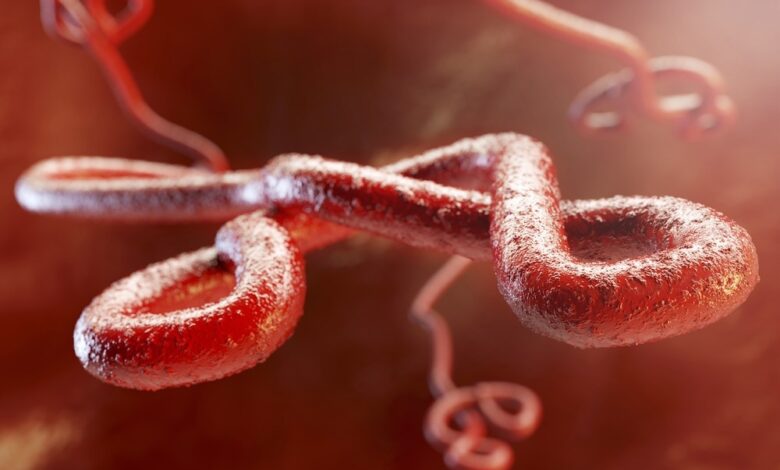 Uganda confirms seven cases of Ebola and one death