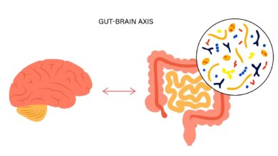 Study: The gut-to-brain axis for toxin-induced defensive responses. Image Credit: Pikovit/Shutterstock