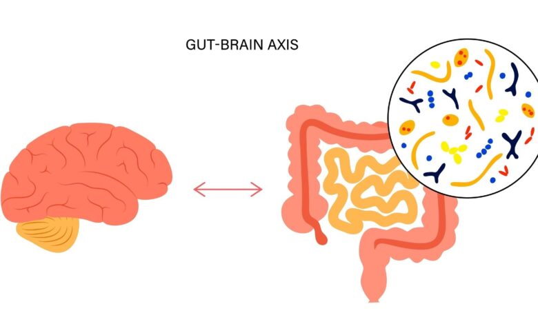 Study: The gut-to-brain axis for toxin-induced defensive responses. Image Credit: Pikovit/Shutterstock