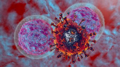 Study: Transcriptional reprogramming of natural killer cells by vaccinia virus shows both distinct and conserved features with mCMV. Image Credit: Numstocker / Shutterstock