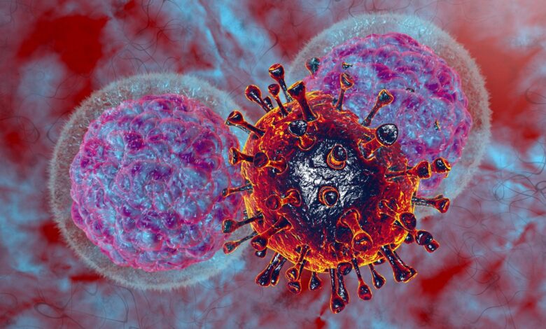 Study: Transcriptional reprogramming of natural killer cells by vaccinia virus shows both distinct and conserved features with mCMV. Image Credit: Numstocker / Shutterstock