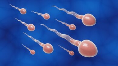 Study: Pilot Study: Next-generation Sequencing of the Semen Microbiome in Vasectomized Versus Nonvasectomized Men. Image Credit: Mayboon / Shutterstock.com