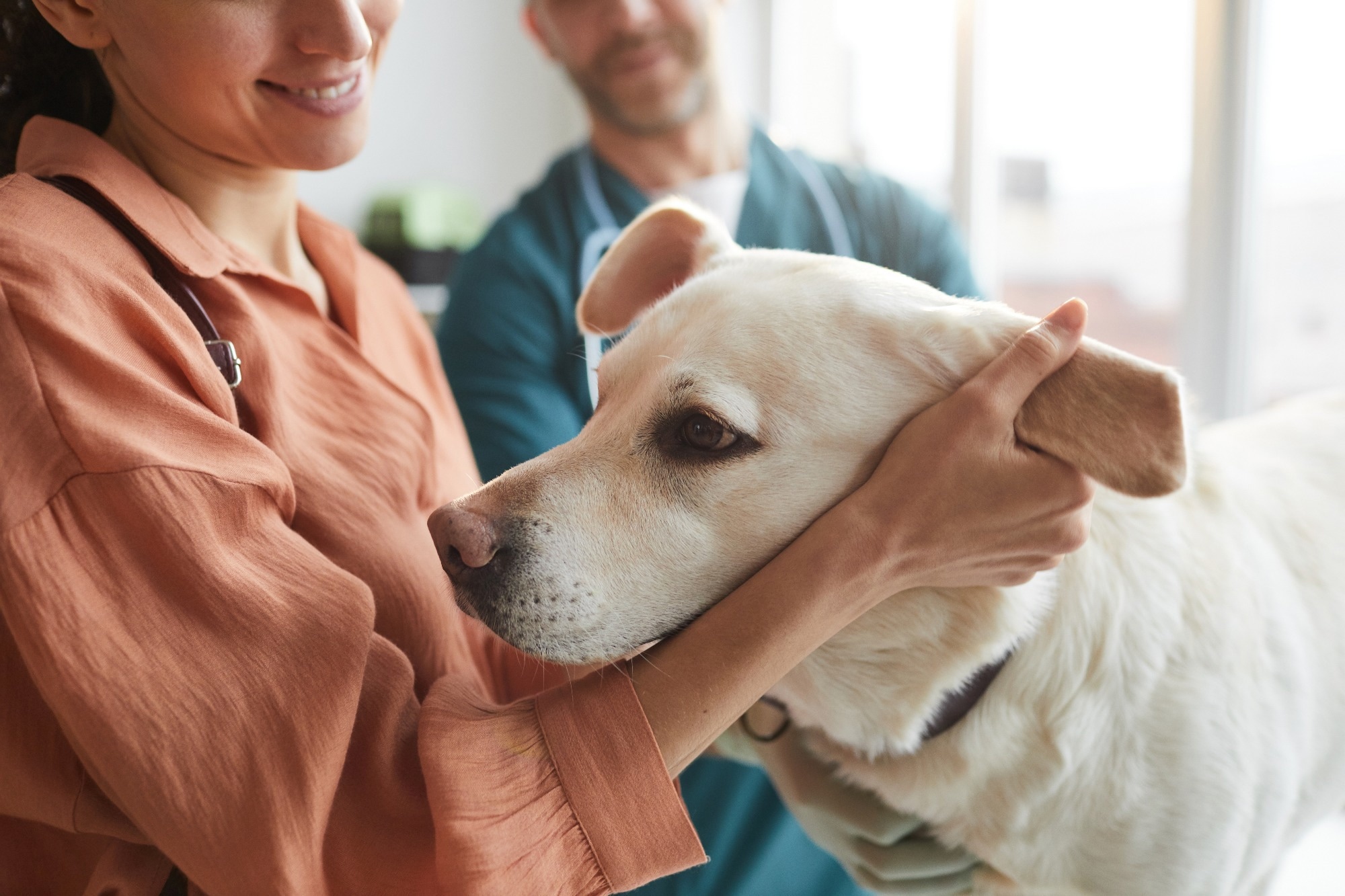 Verwendung von Neuroimaging zur Untersuchung, wie das Streicheln von Hunden Klinikern helfen könnte, die tiergestützte Therapie zu verbessern
