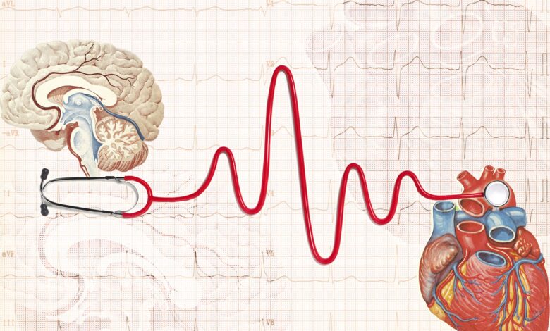 Warum die Überwachung Ihrer Herzgesundheit nach einem Schlaganfall wichtig ist