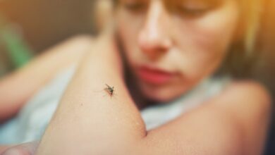 Study: Why are some people more attractive to mosquitoes than others? Image Credit: sun ok/Shutterstock