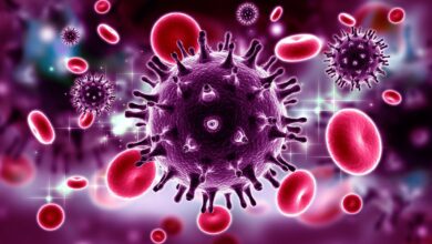 Study: The Envelope Proteins from SARS-CoV-2 and SARS-CoV Potently Reduce the Infectivity of Human Immunodeficiency Virus type 1 (HIV-1). Image Credit: RAJ CREATIONZS/Shutterstock