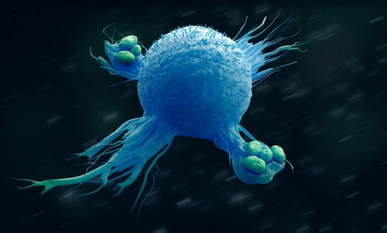 Study: Macrophages in health and disease. Image Credit: urfin/Shutterstock