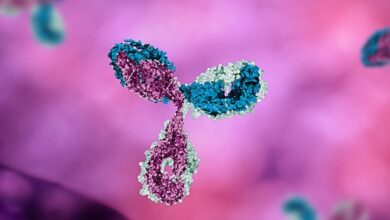 Weniger als die Hälfte der Genfer haben Antikörper, die Omicron-Untervarianten neutralisieren, wie eine Studie zeigt