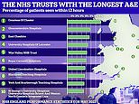 Wie stark wirkt sich die NHS-Krise auf IHR Krankenhaus aus?  Interaktives Tool deckt atemberaubende Wartezeiten in der Notaufnahme und bei Routineoperationen auf – wie Schockzahlen zeigen, müssen 7 % der Unfallpatienten 12-STUNDEN-Warteschlangen im am schlimmsten betroffenen Vertrauen haben