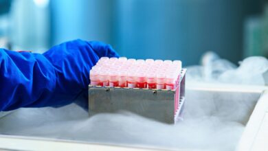 Study: Validation of a SARS-CoV-2 RT-PCR assay: a requirement to evaluate viral contamination in human semen. Image Credit: Leonidovich/Shutterstock