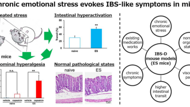 Repeated emotional stress in mice provokes irritable bowel syndrome-like symptoms