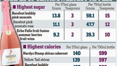 Zwei Gläser Wein haben mehr Kalorien als ein BURGER: Eine Flasche Plonk kann bis zu 59 g Zucker enthalten, wie eine Analyse zeigt