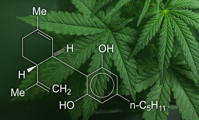 CBD-Wirkungen neben Schmerzlinderung
