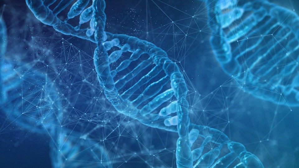 Molekulare Medizin: Potenzial und Herausforderungen