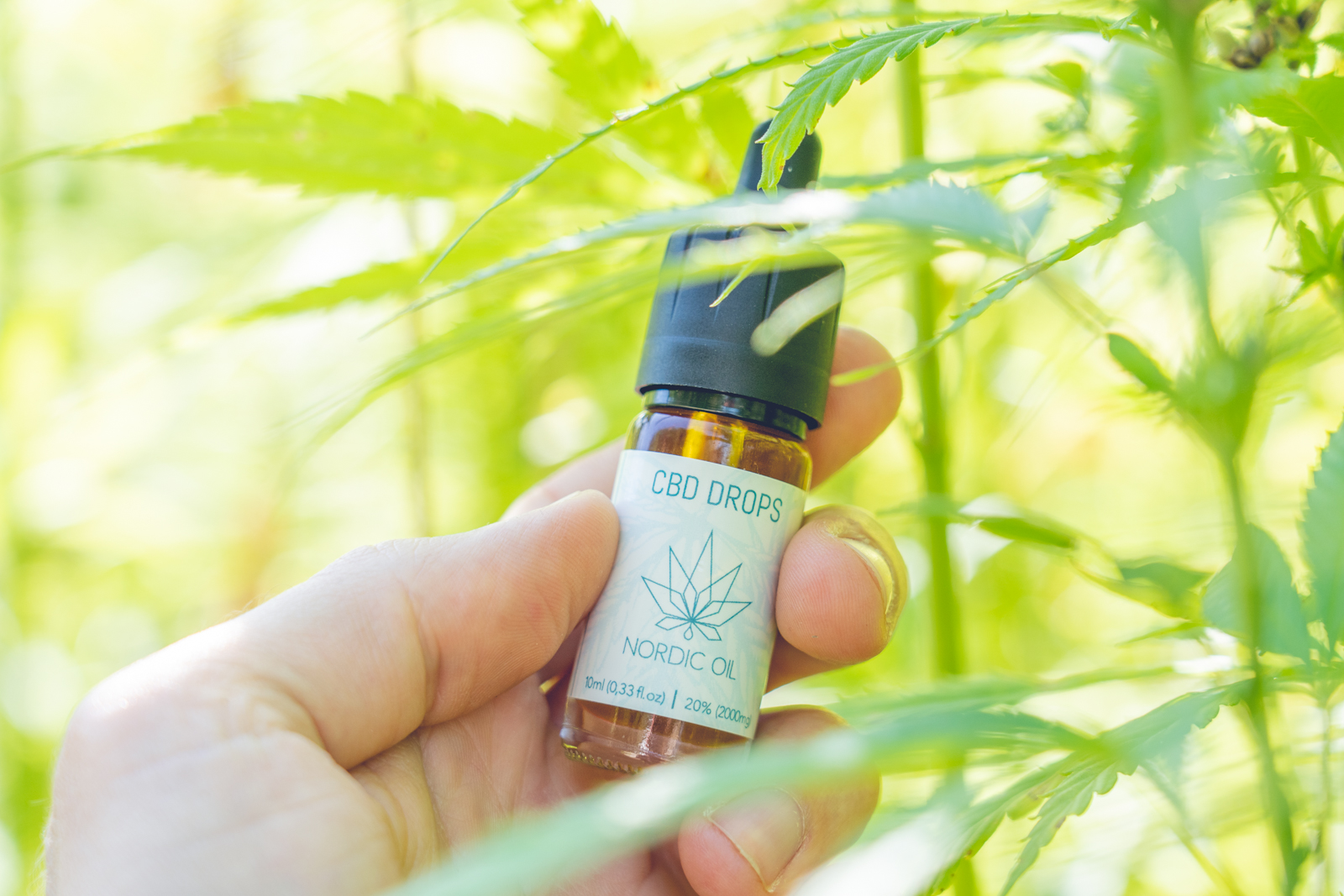 CBD am Arbeitsplatz: Steigerung der Produktivität und Stressreduktion durch natürliche Mittel