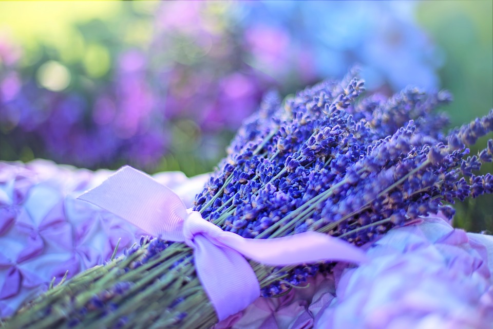 Aromatherapie: Wissenschaftliche Grundlagen und Anwendungen