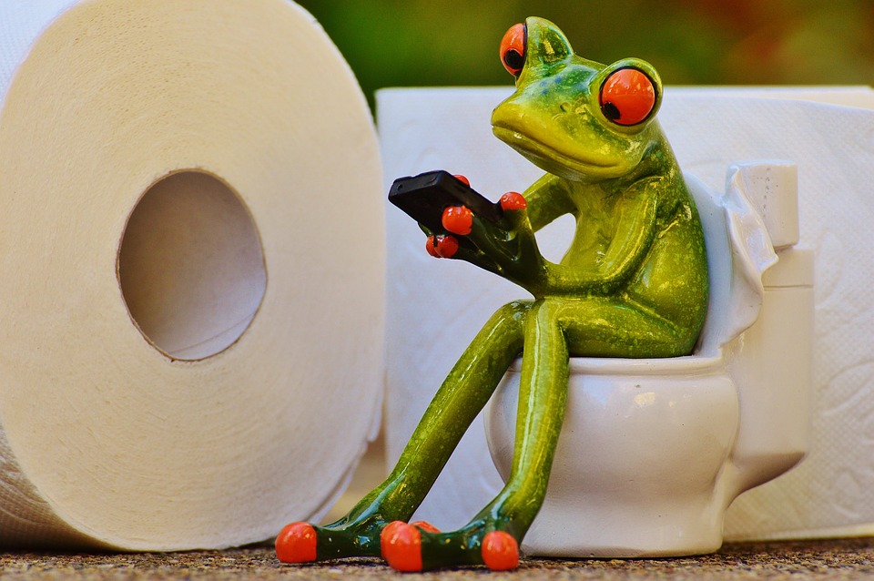 Studie enthüllt: Wie oft sollten Sie täglich zur Toilette gehen?