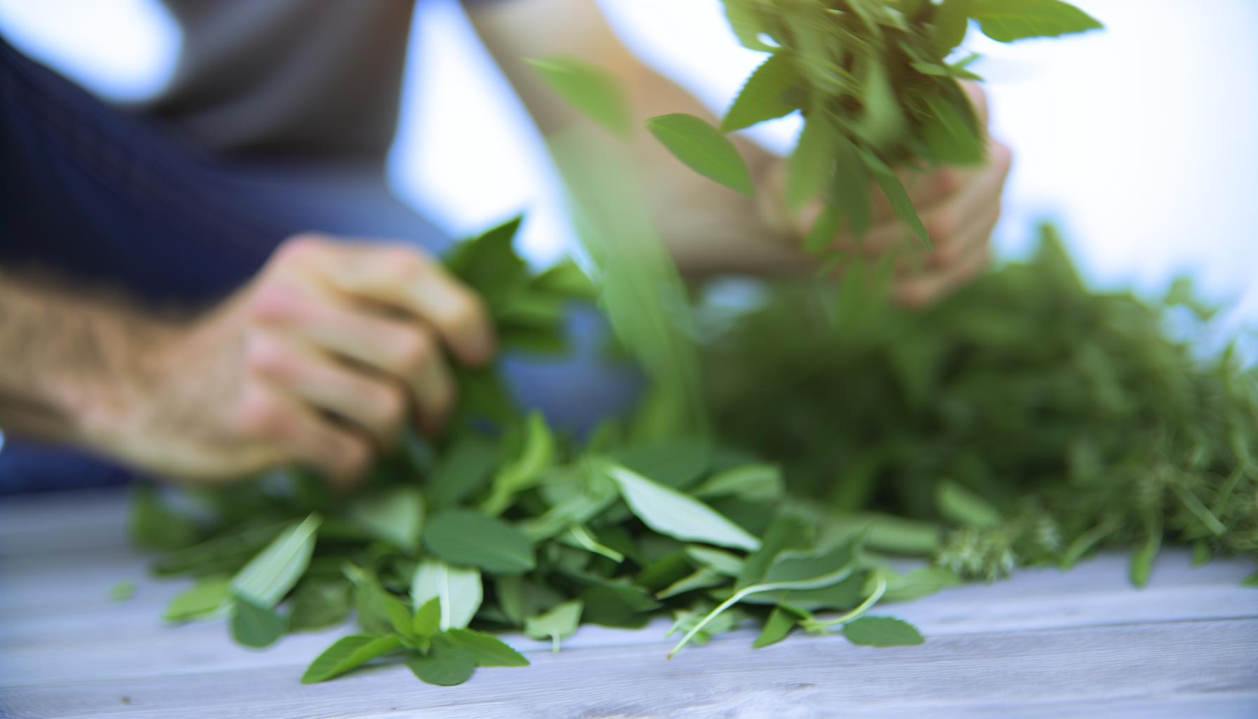 Kräuter für Sportler – Regeneration und Energie