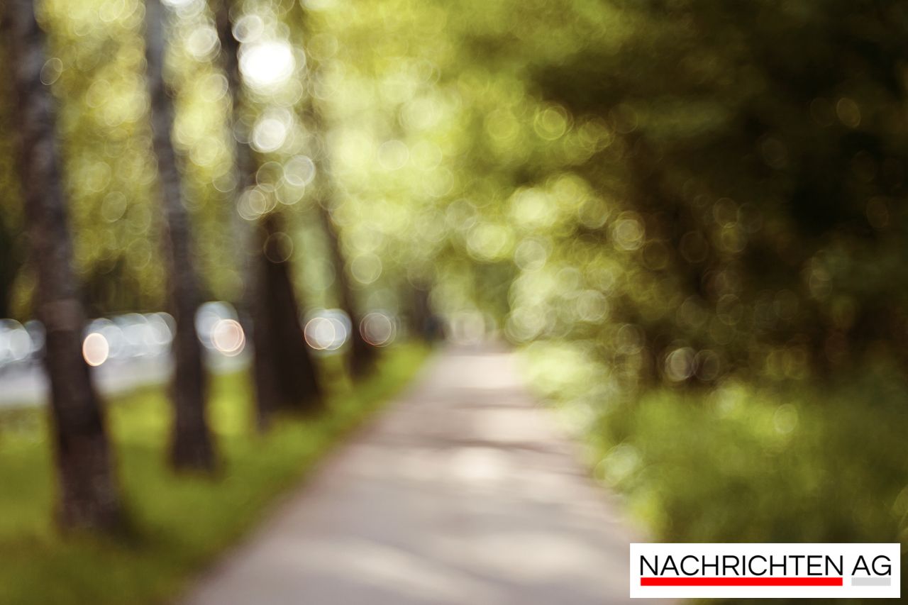 Entfaltung der Rolle von Hsp70-Chaperonen bei der Neurodegeneration